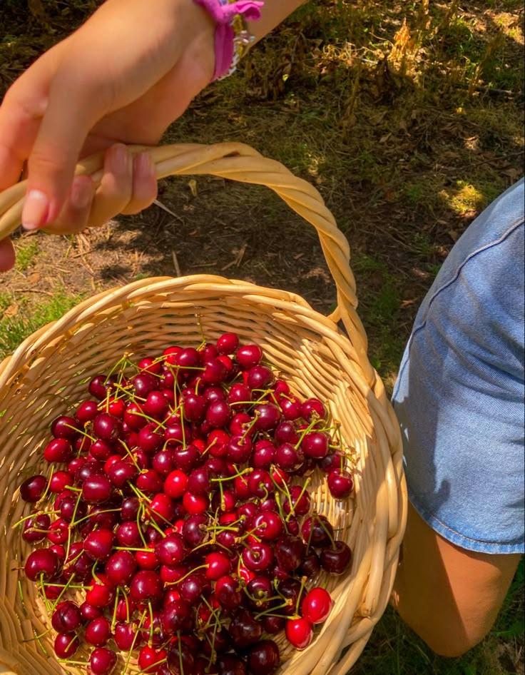 Nature's Palette: Rustic Berry Fusion Delight